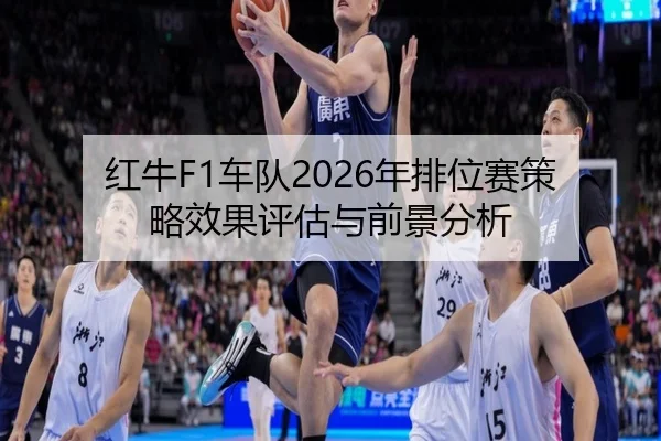 hong-niu-che-dui-nian-pai-wei-sai-ce-lve-xiao-guo-ping-gu-yu-qian-jing-fen-xi-2-289.jpg