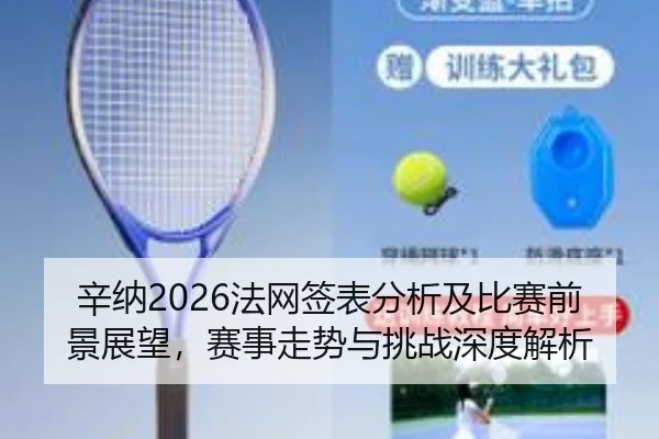 辛纳2026法网签表分析及比赛前景展望，赛事走势与挑战深度解析