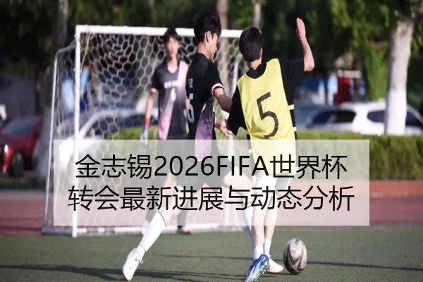 金志锡2026FIFA世界杯转会最新进展与动态分析