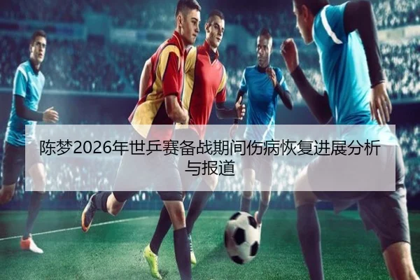 陈梦2026年世乒赛备战期间伤病恢复进展分析与报道